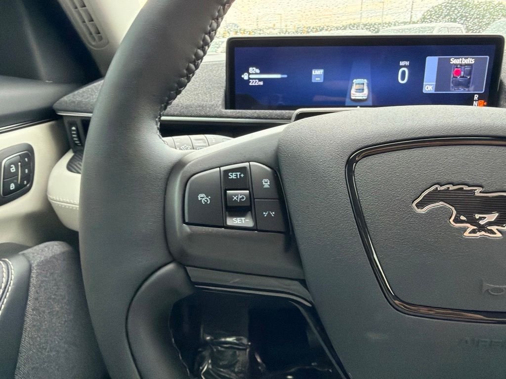 Used 2025 Shadow Black Ford Premium image 26
