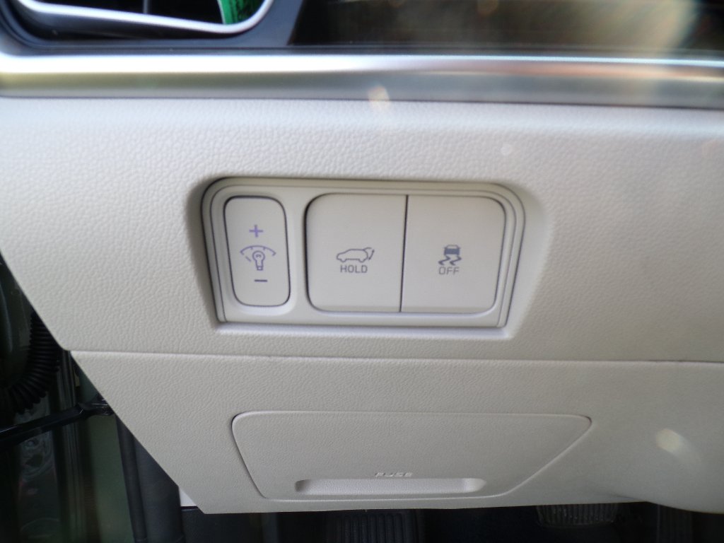Used 2024 Jungle Green Kia X-Line EX image 18