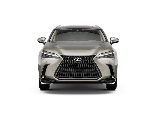 2026 Lexus NX 350h Luxury photo 3