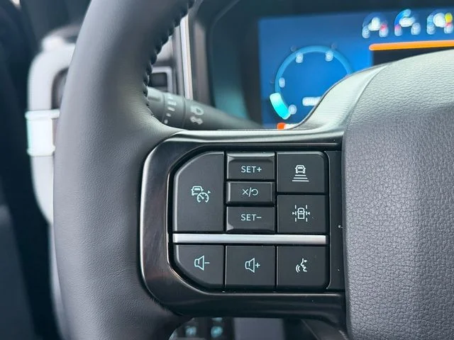 New 2026 Black Ford Platinum image 17