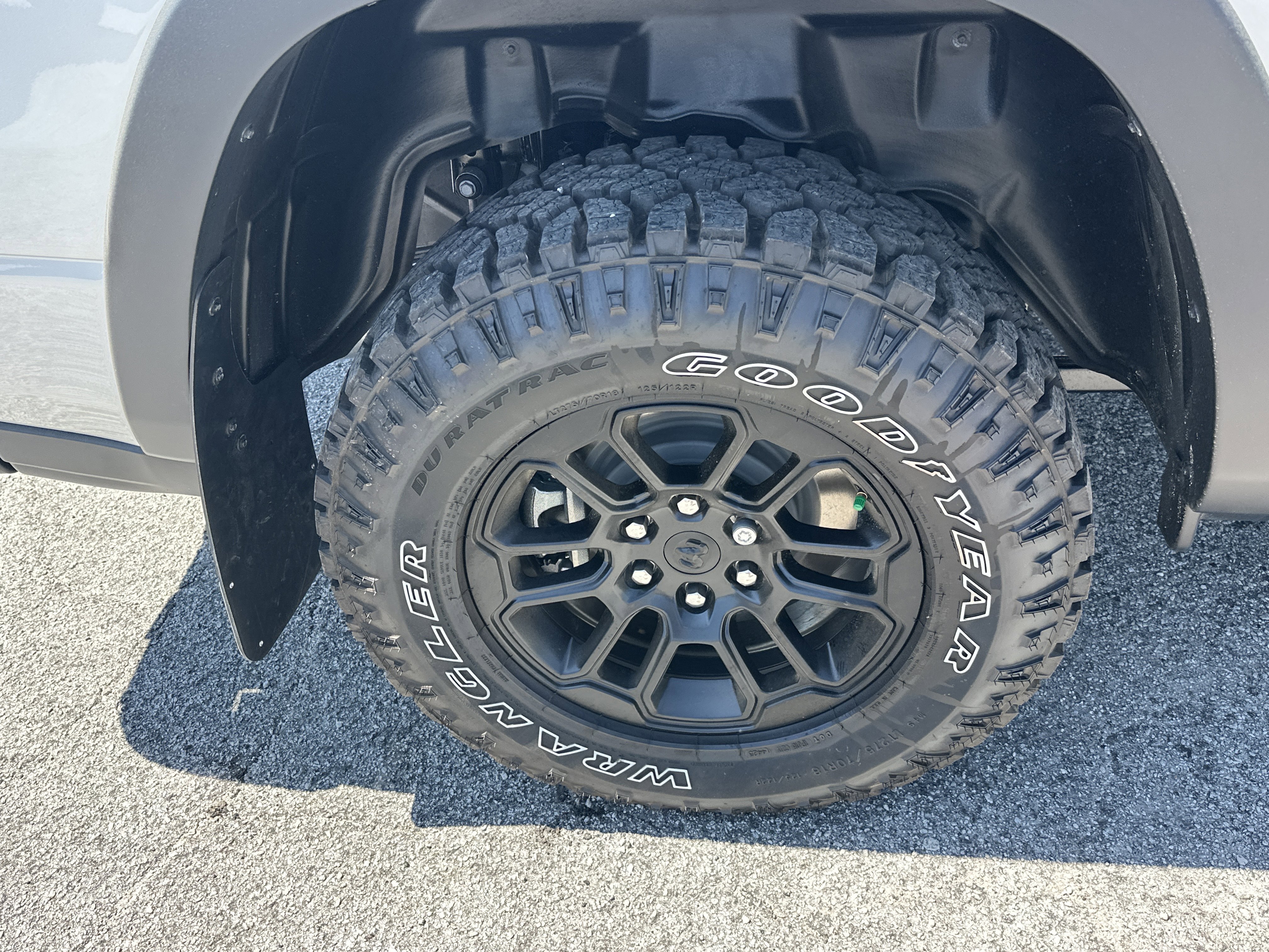 New 2026 Silver Zynith Exterior Paint RAM Rebel image 18