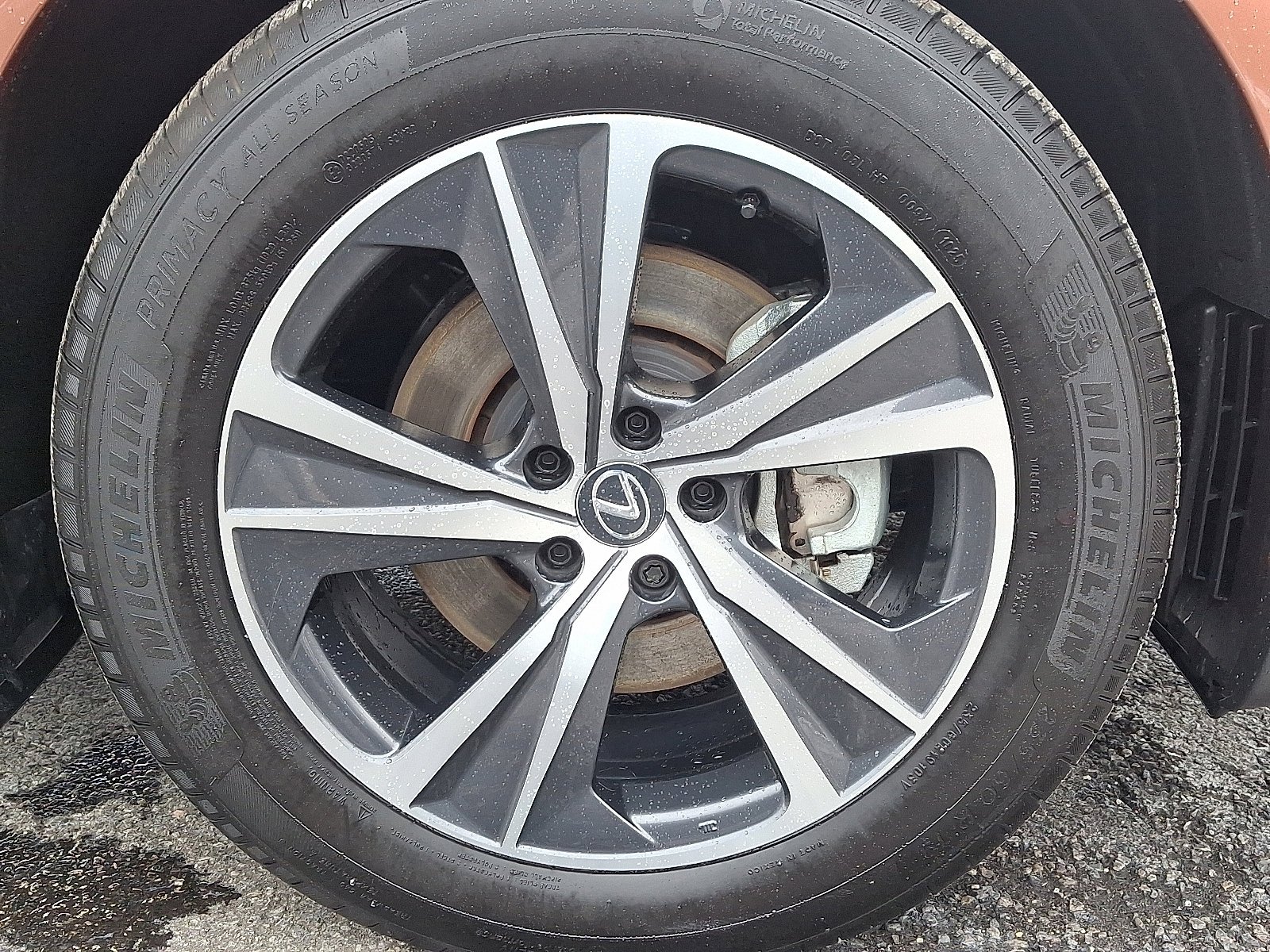 2025 Lexus RX 350 - Photo 8