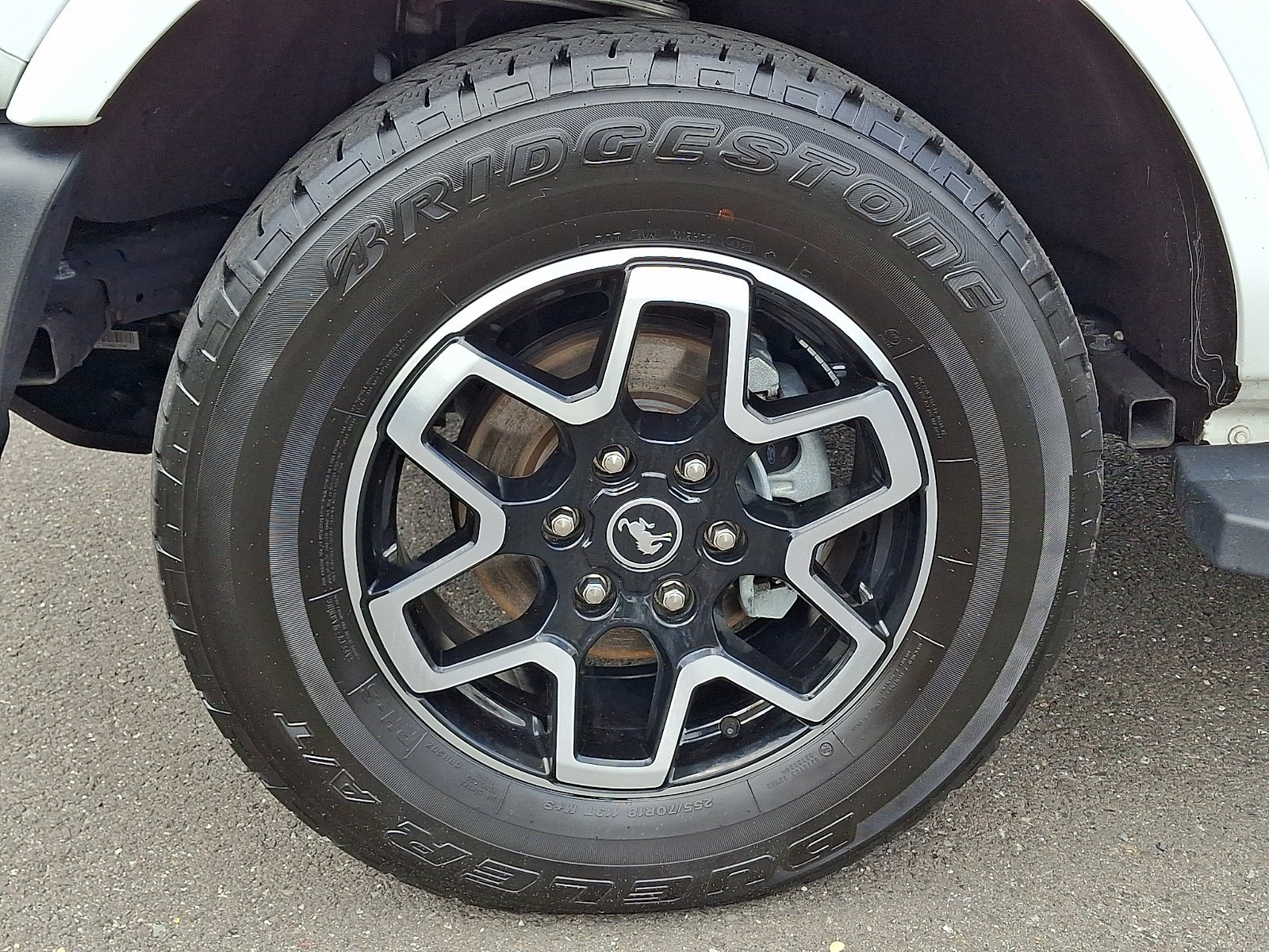 Photo 8
