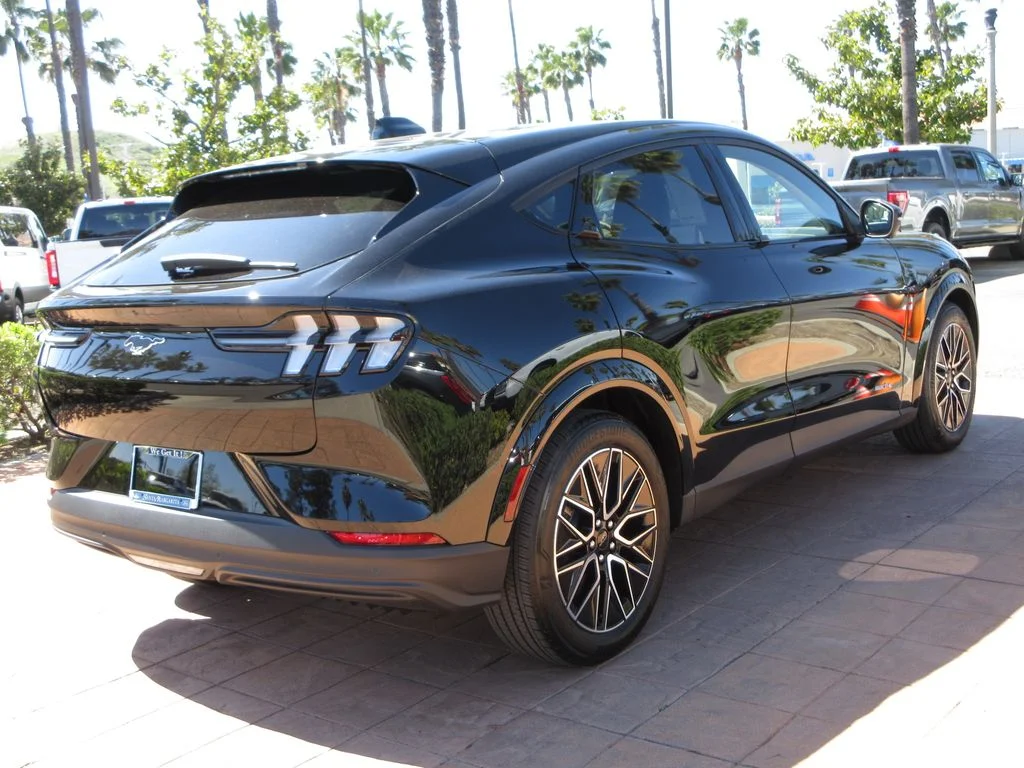 New 2026 Shadow Black Ford Premium image 4