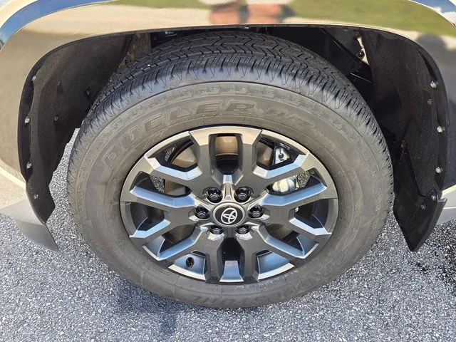 Used 2025 Silver Toyota Platinum image 19