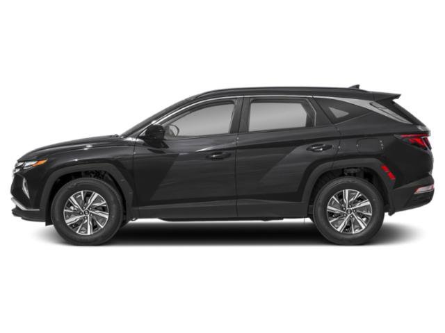 2024 Hyundai Tucson Blue - Photo 4