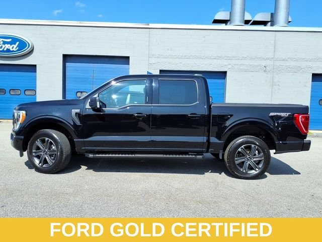 Certified Used 2023 Black Ford XLT image 2