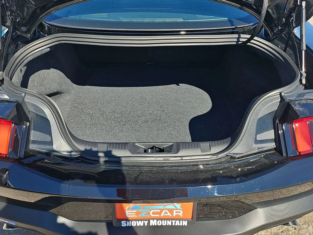 2025 Ford Mustang EcoBoost Premium Fastback - Photo 21