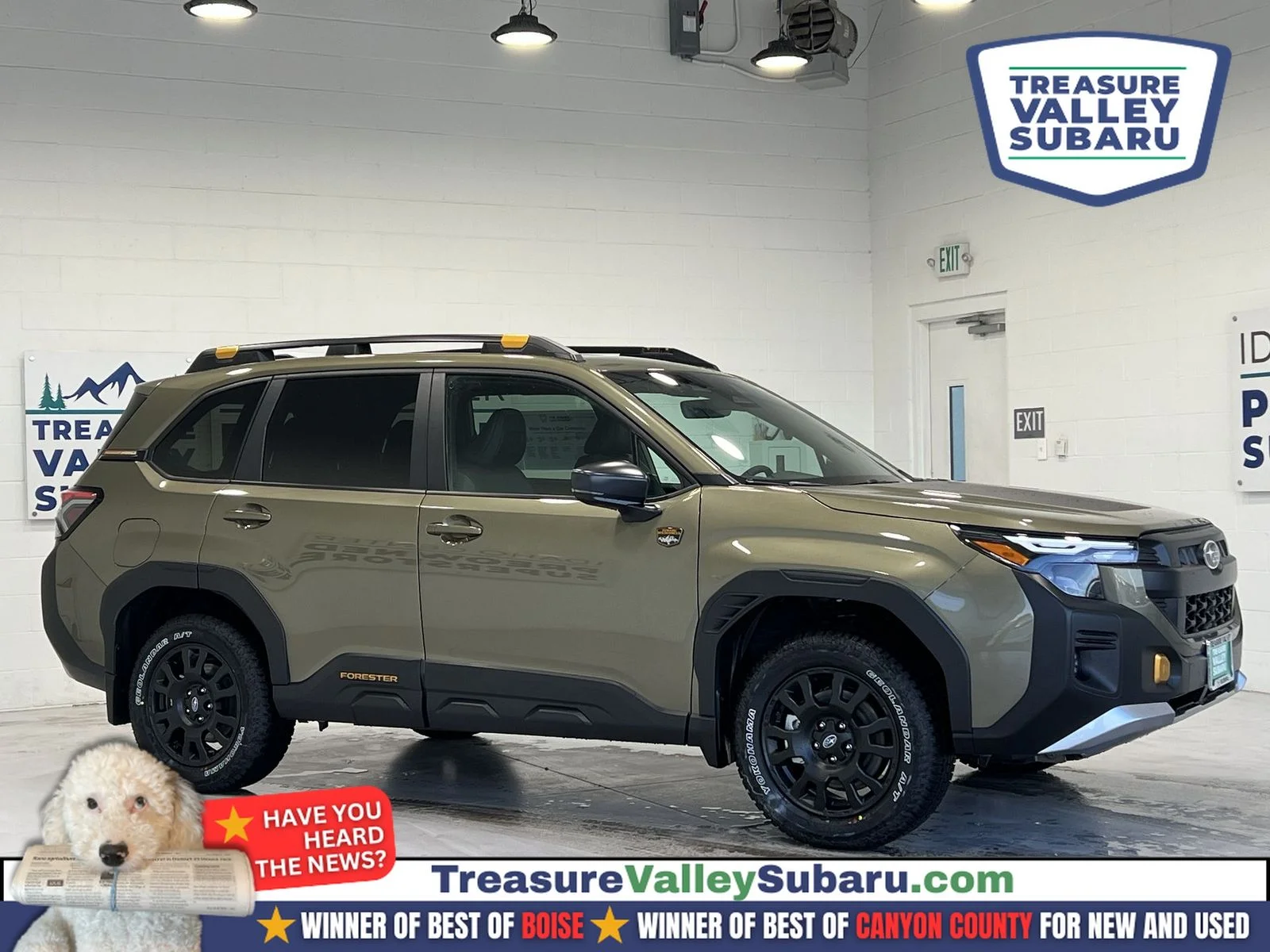 2026 Subaru Forester Wilderness's photo