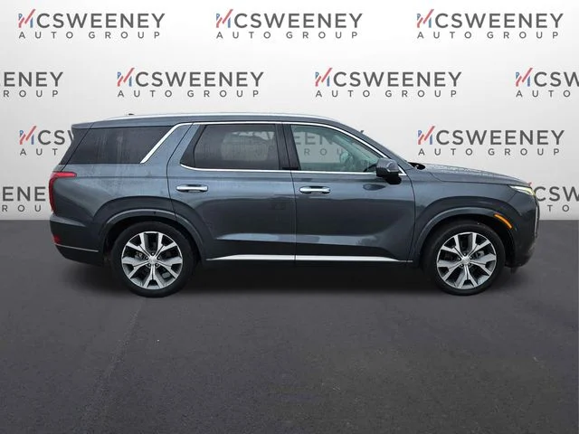 2021 Hyundai Palisade Limited - Photo 6