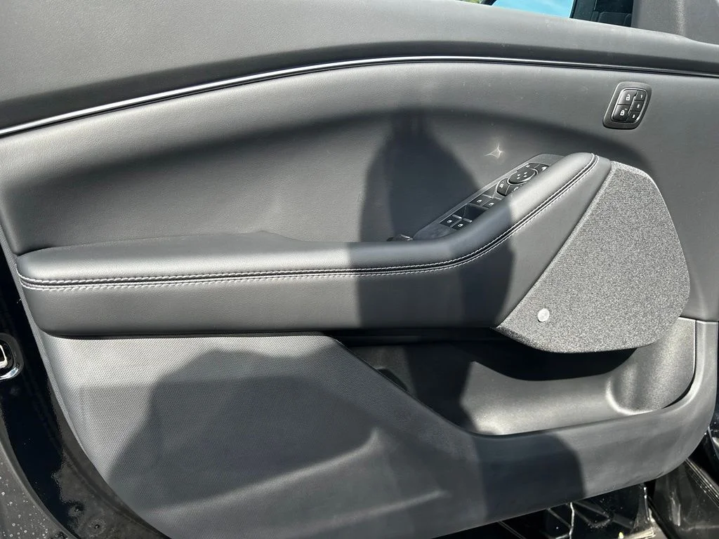New 2026 Shadow Black Ford Premium image 13