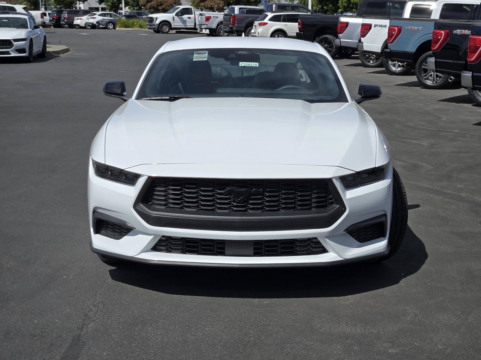 New 2026 Oxford White Ford EcoBoost® Premium Fastback image 2