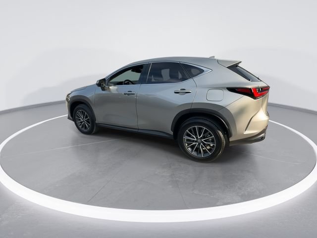 2026 Lexus NX 350 - Photo 6