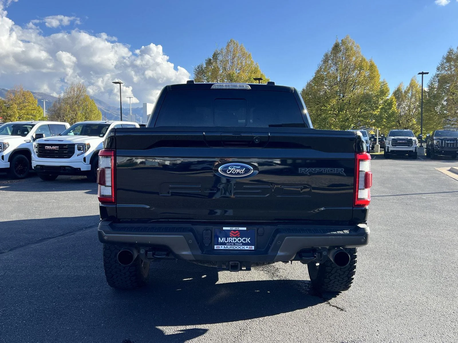 2022 Ford F-150 Raptor - Photo 12