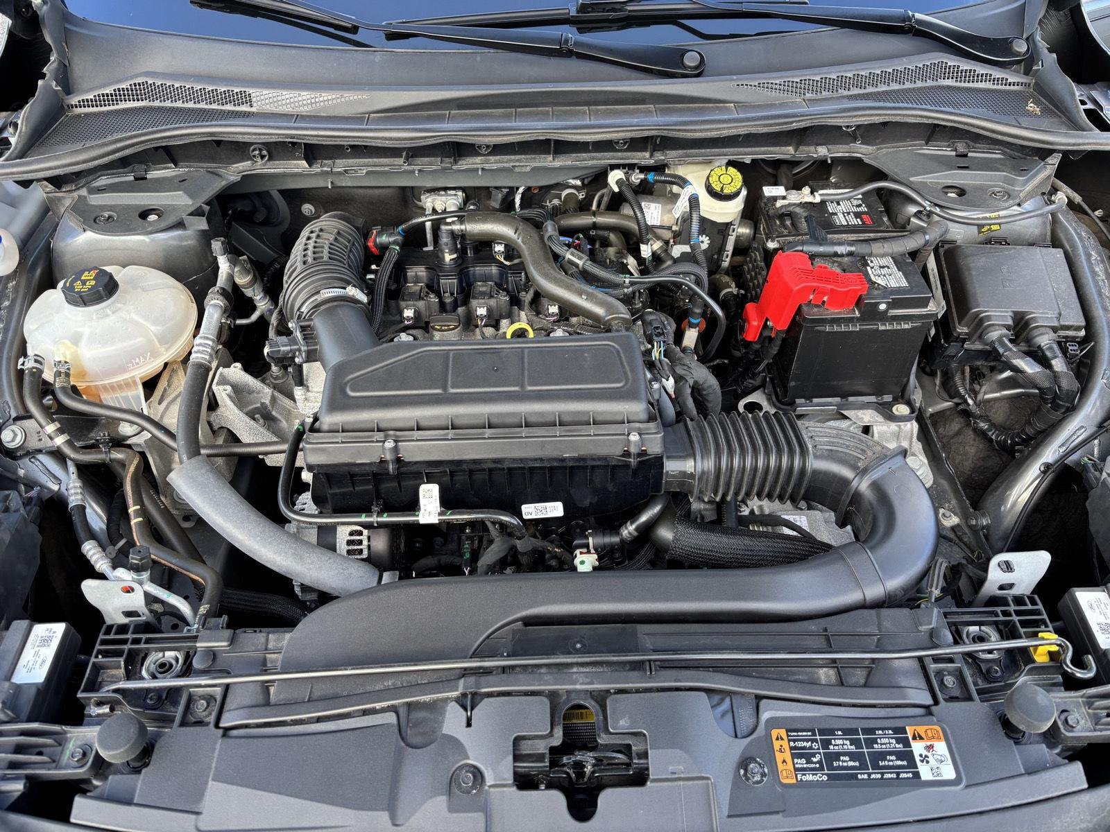 Used 2023 Gy Ford Active image 11