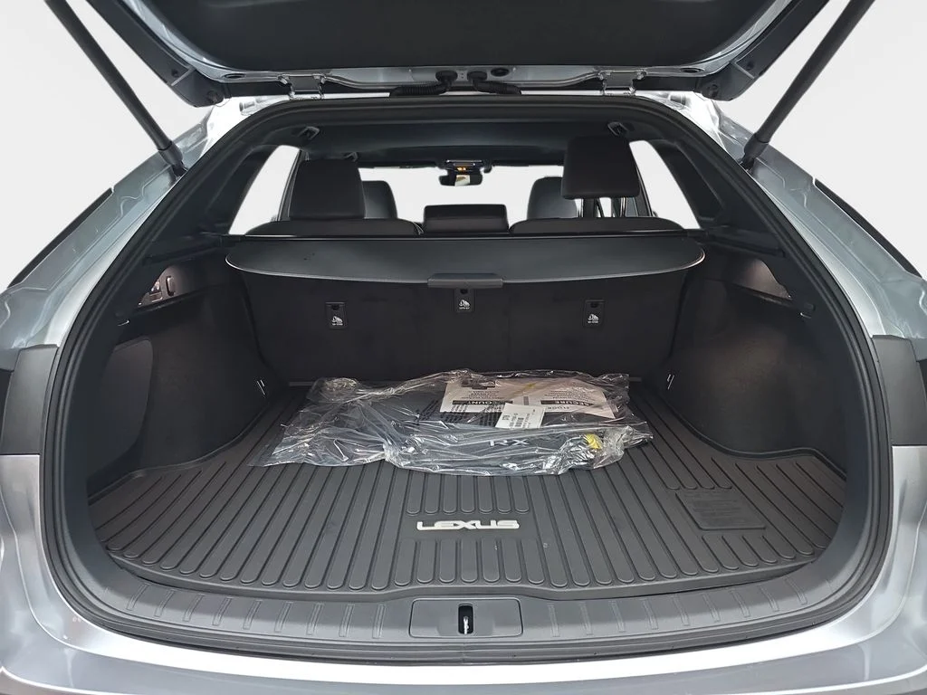 New 2026 Iridium Lexus PREMIUM image 12
