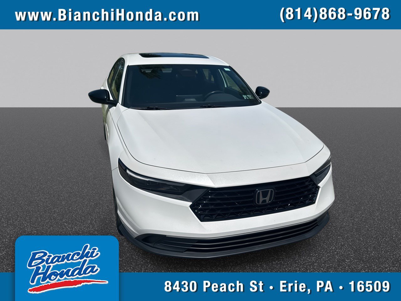 Used 2023 Platinum White Pearl Honda Sport image 1