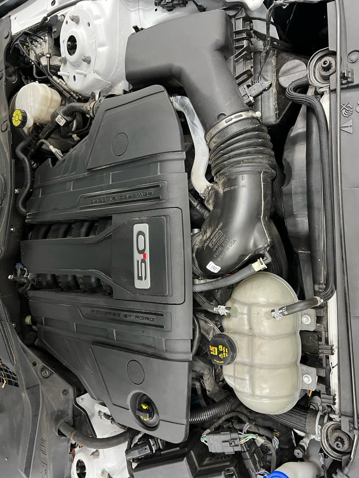 Used 2021 Oxford White Ford GT image 13