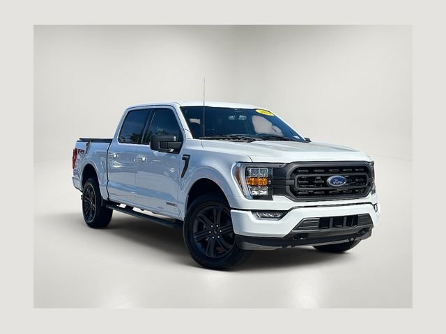 Used 2023 White Ford XLT image 1