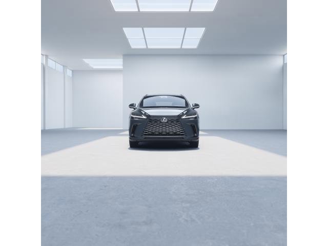 2025 Lexus RX - Photo 20
