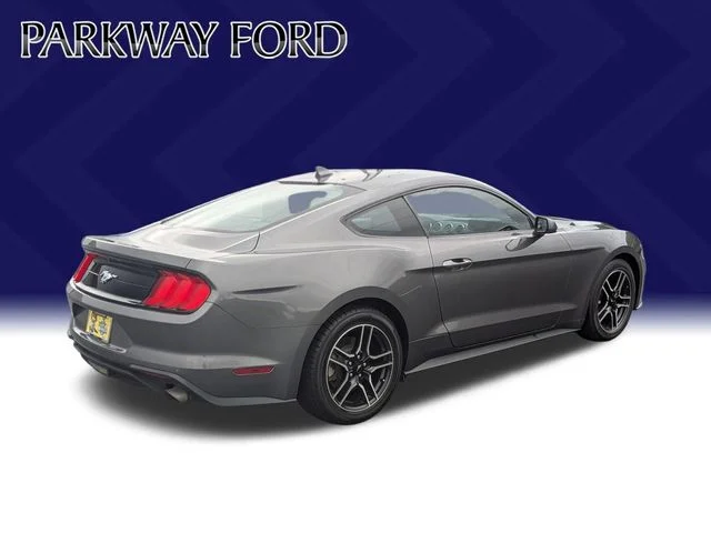 Used 2022 Gray Ford EcoBoost image 5
