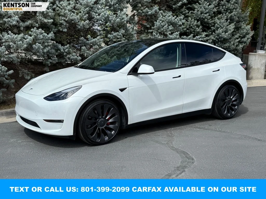 2023 Tesla Model Y Performance Dual Motor All-Wheel Drive's photo
