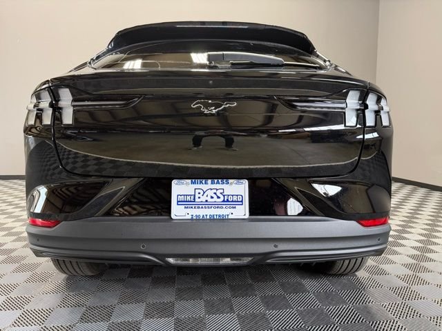New 2026 Shadow Black Ford Premium image 9