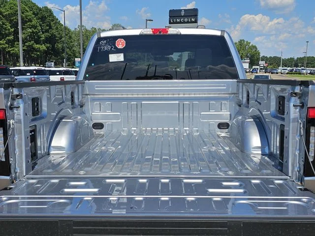 2025 Ford F-150 Lightning Flash - Photo 25