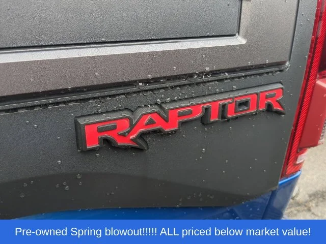 Used 2019 Blue Ford Raptor image 13
