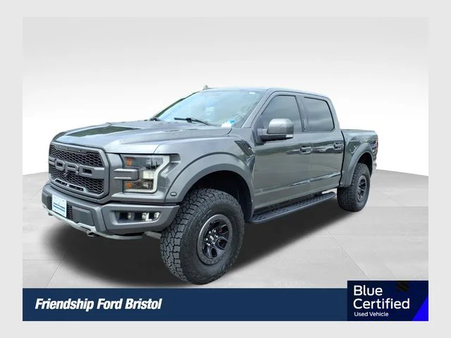 Used 2019 Gray Ford Raptor image 1