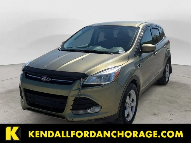 2014 Ford Escape SE 4WD's photo