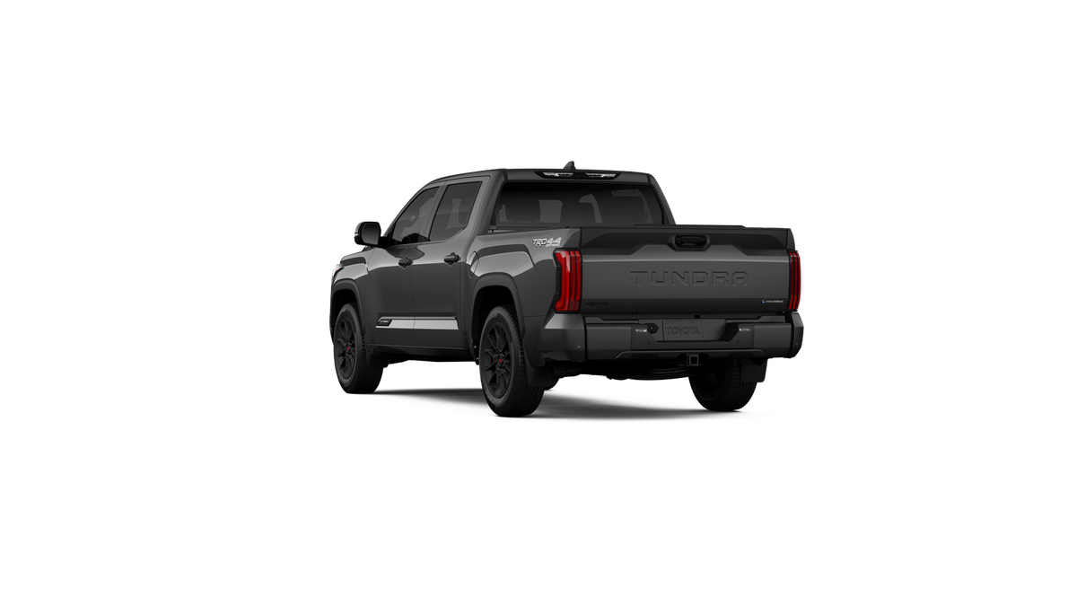 New 2026 Magnetic Gray Metallic Toyota Platinum image 22