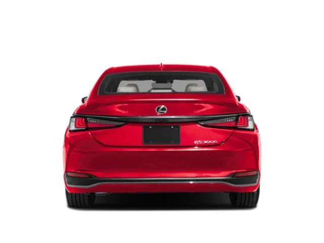 Used 2025 Gray Lexus 300h F SPORT Design image 5