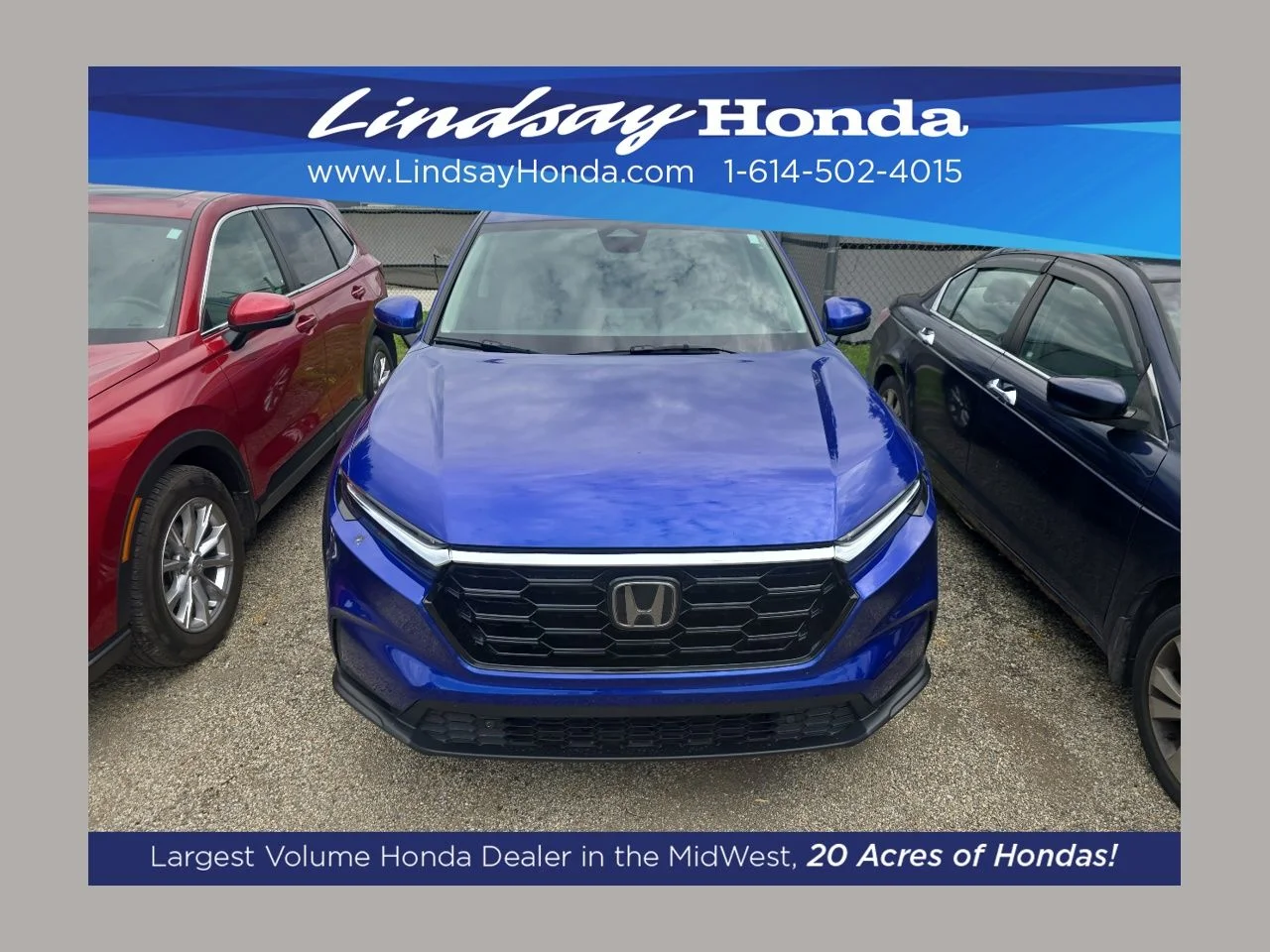 2024 Honda CR-V EX-L AWD's photo