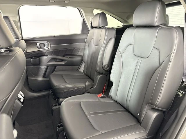 New 2026 Road Rider Brown Kia X-Line SX AWD image 23