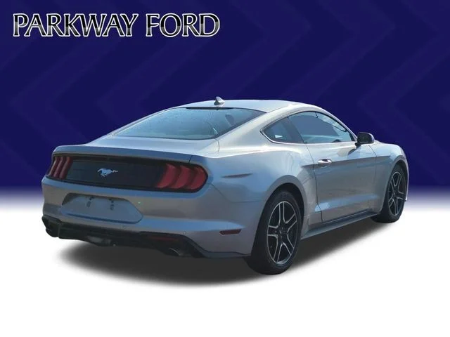 Used 2022 Silver Ford EcoBoost image 5