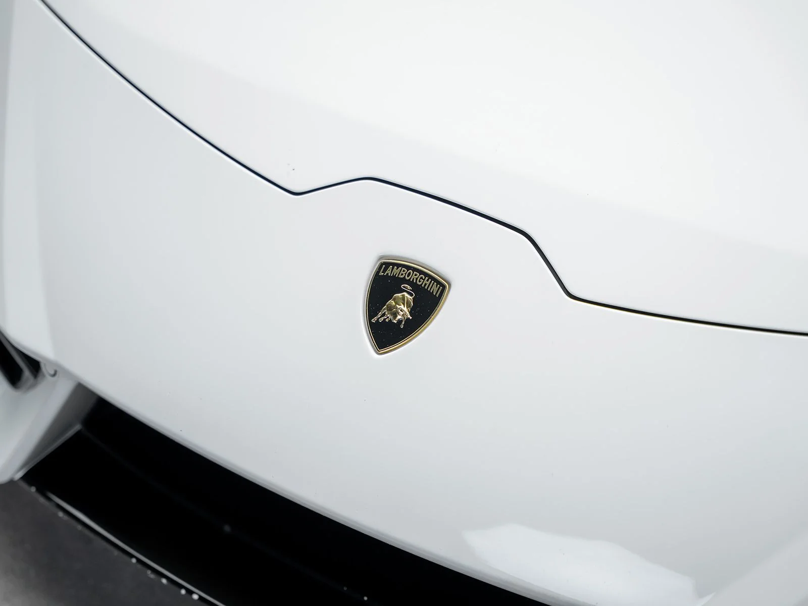 Used 2017 White Lamborghini  image 6