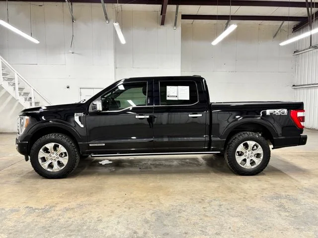 Used 2022 Black Ford Platinum image 4