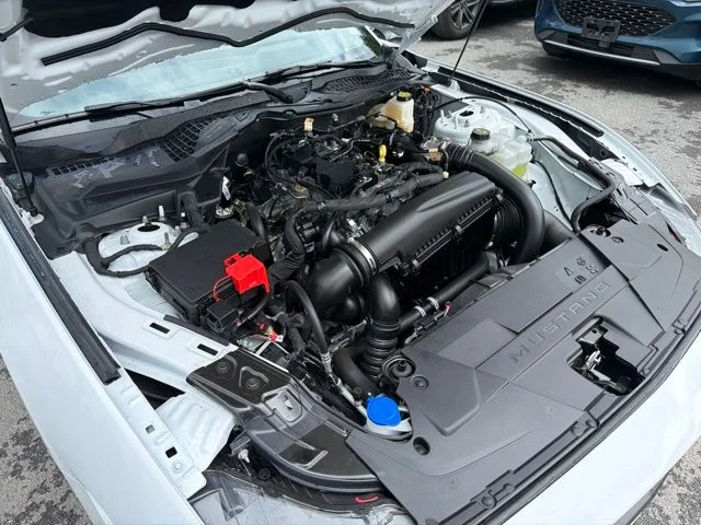 2025 Ford Mustang EcoBoost Premium Fastback - Photo 42