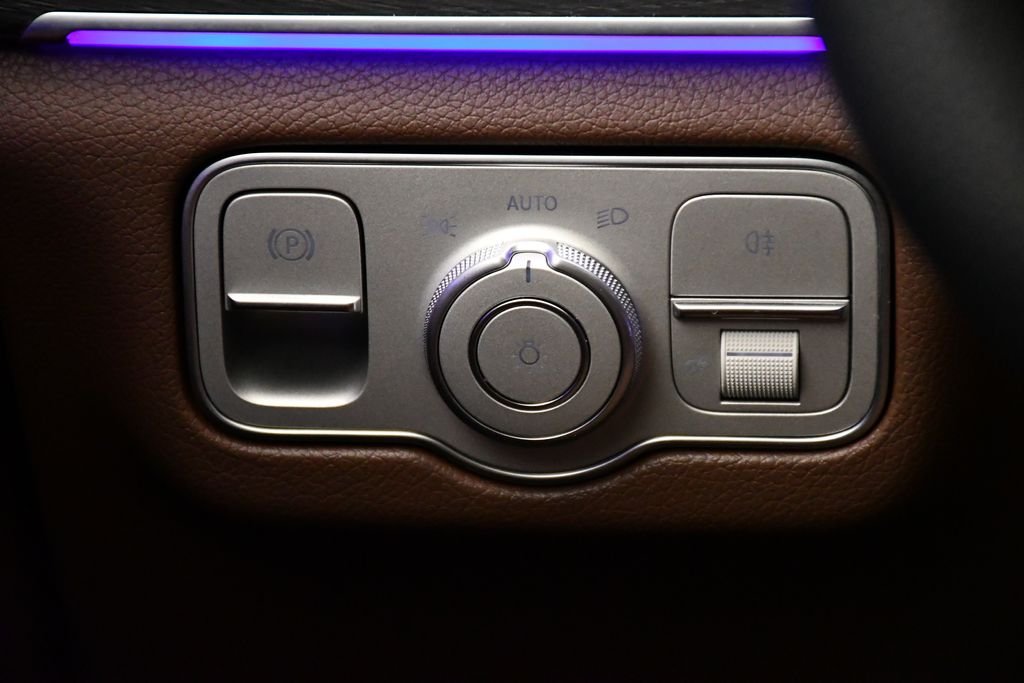 2025 Mercedes-Benz GLS Base - Photo 21