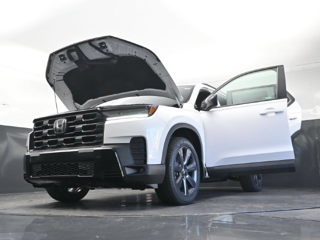 New 2026 Platinum White Pearl Honda Sport image 39