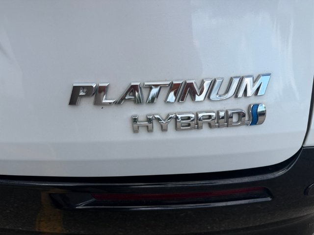 Used 2022 Beige Toyota Platinum image 40