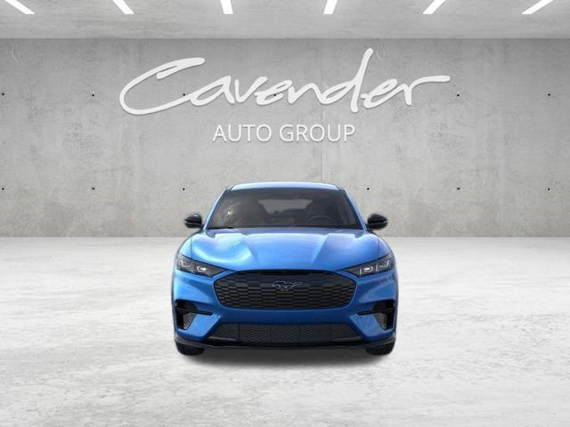 New 2026 Velocity Blue Metallic Ford Premium image 7