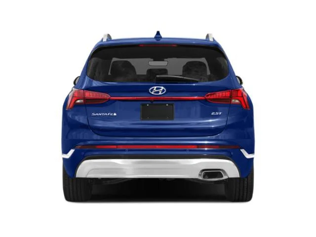 Used 2023 Calypso Red Hyundai Calligraphy image 8
