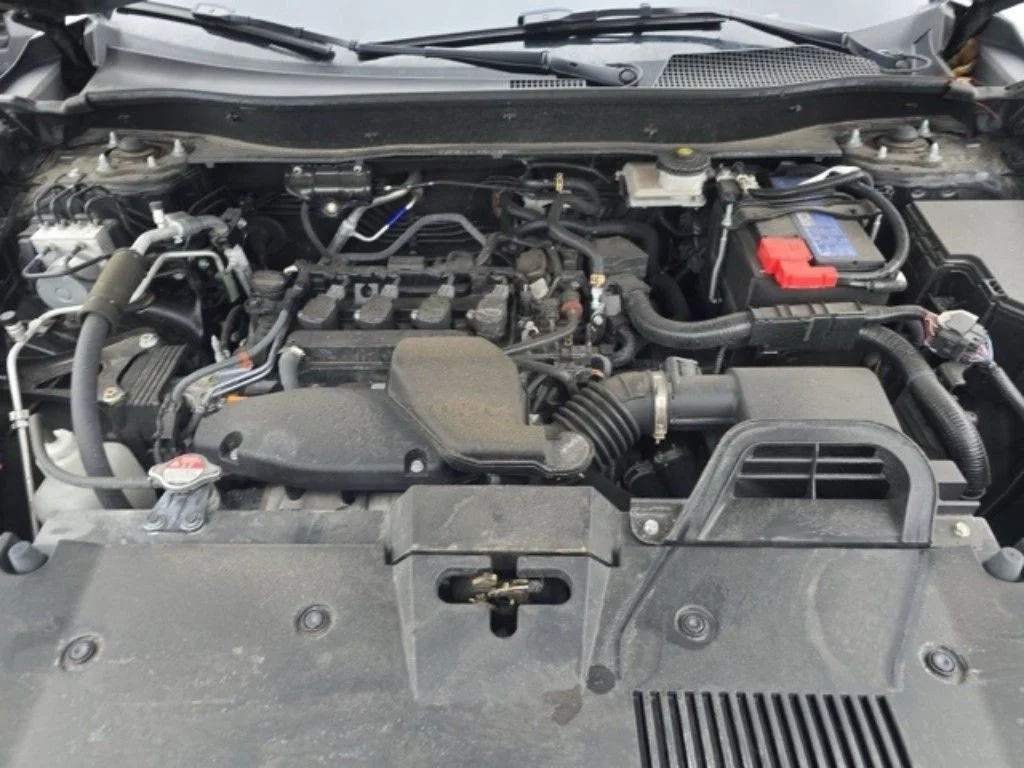Used 2025  Honda LX image 17