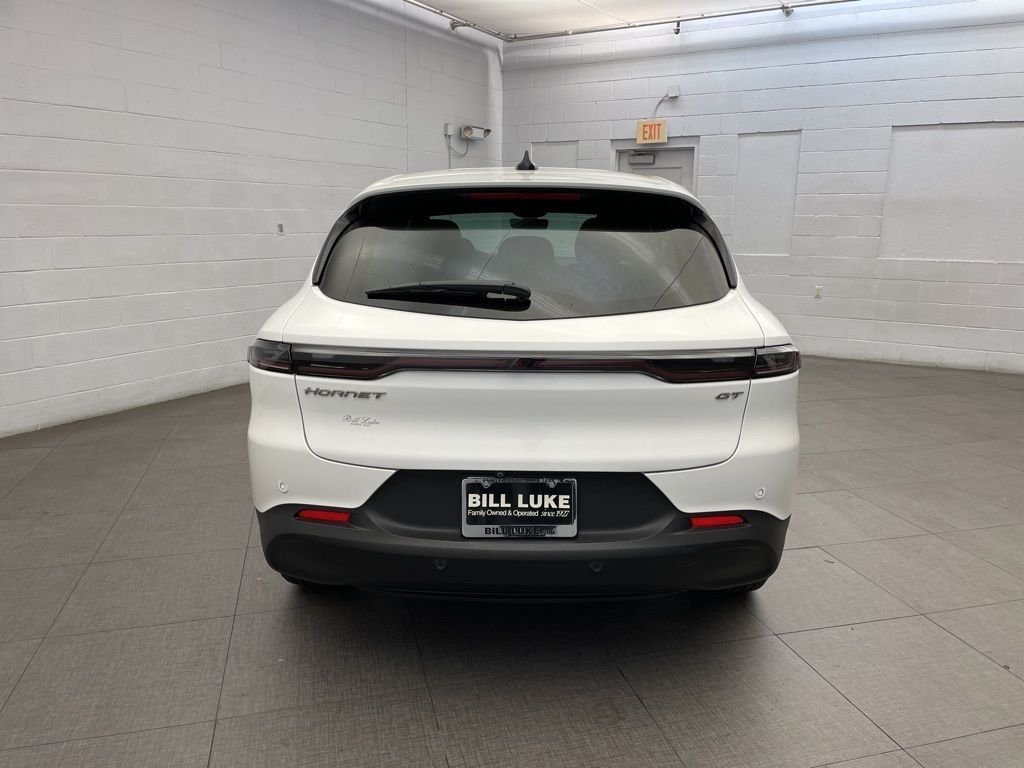 New 2025 Q Ball Exterior Paint Dodge GT image 4