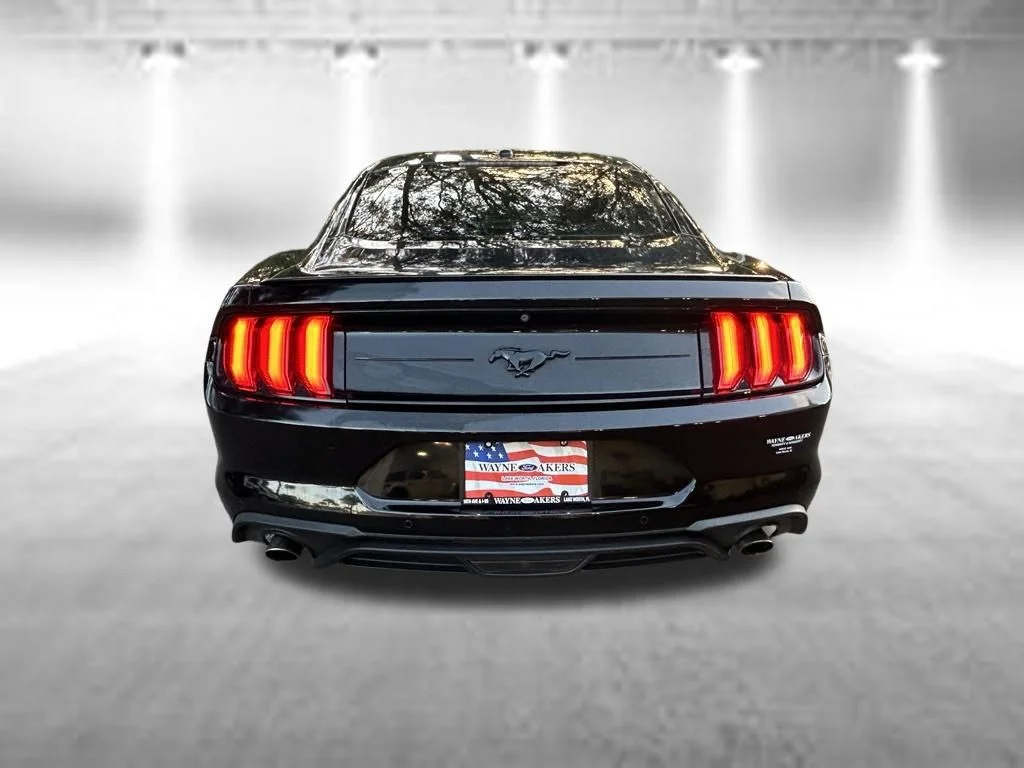 Certified Used 2019 Shadow Black Ford EcoBoost Premium image 5
