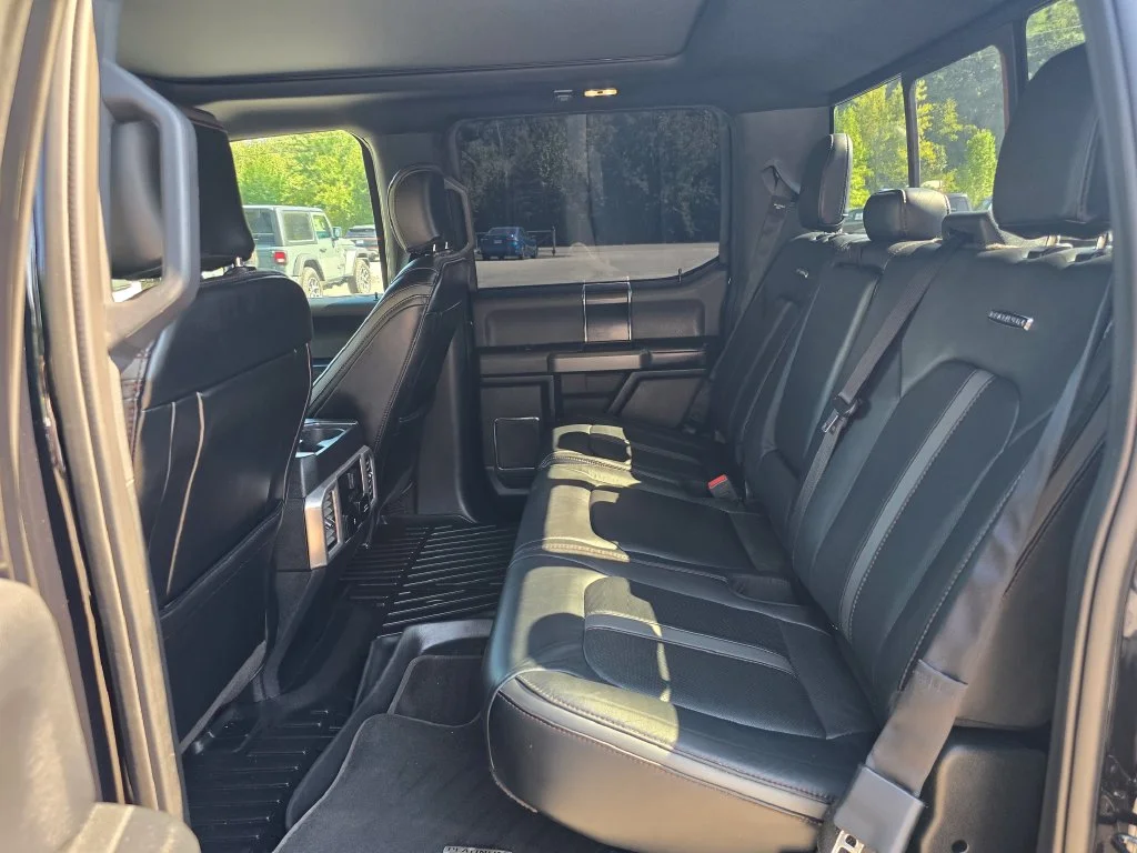 Used 2020 Black Ford Platinum image 12