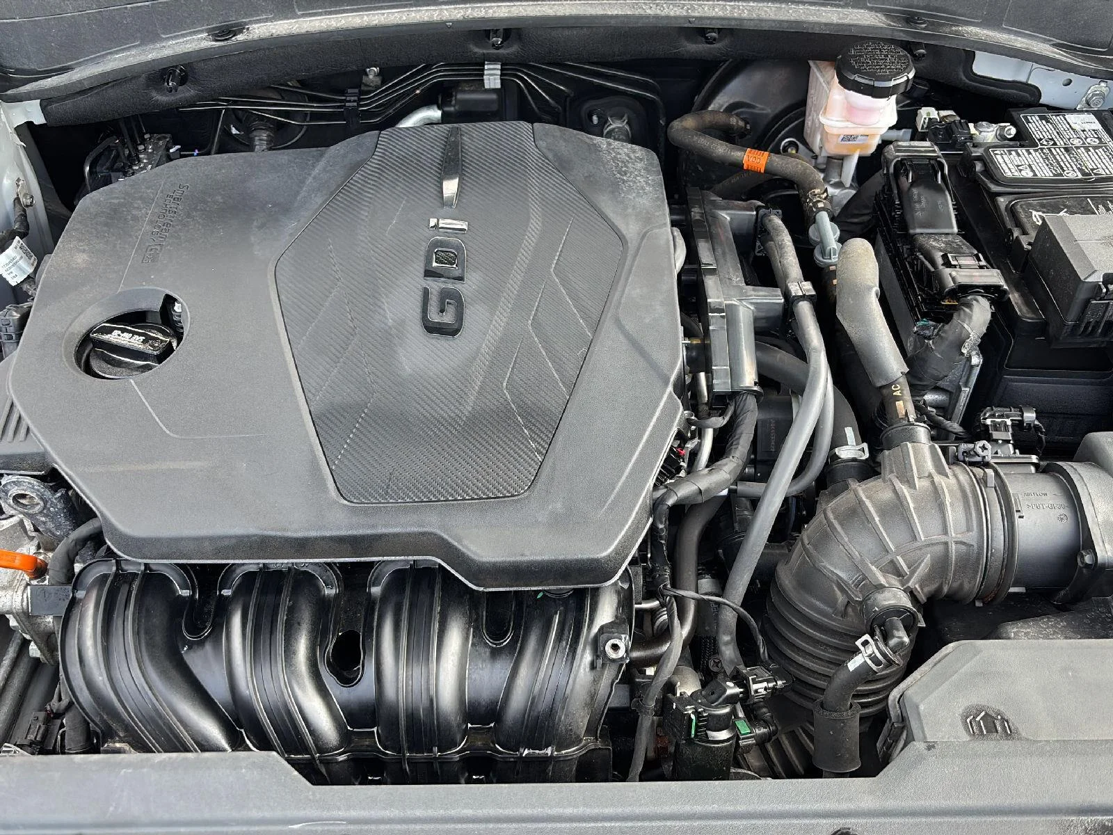 Used 2023  Kia X-Line image 4