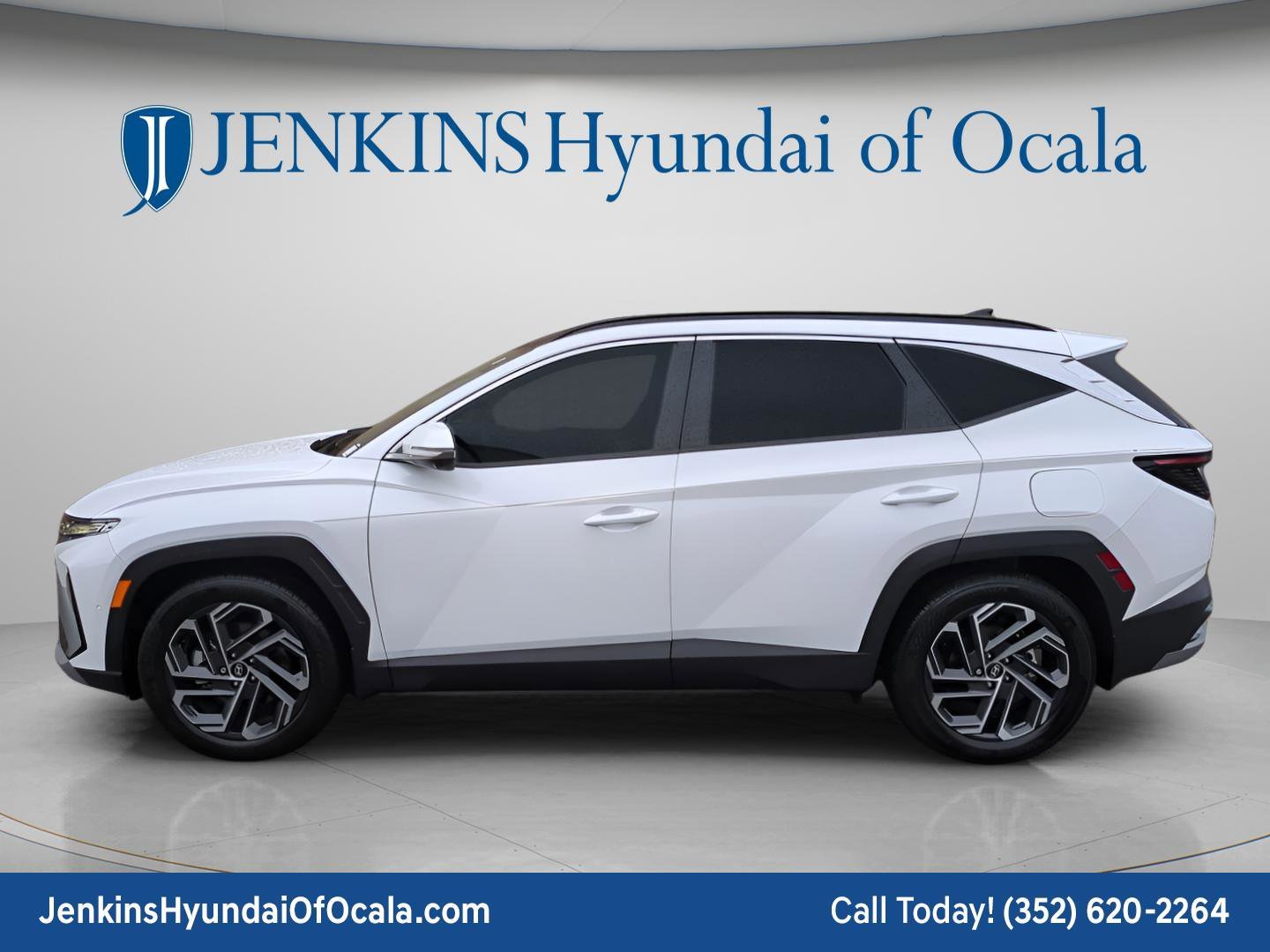 Used 2025 Serenity White Pearl Hyundai Limited image 6